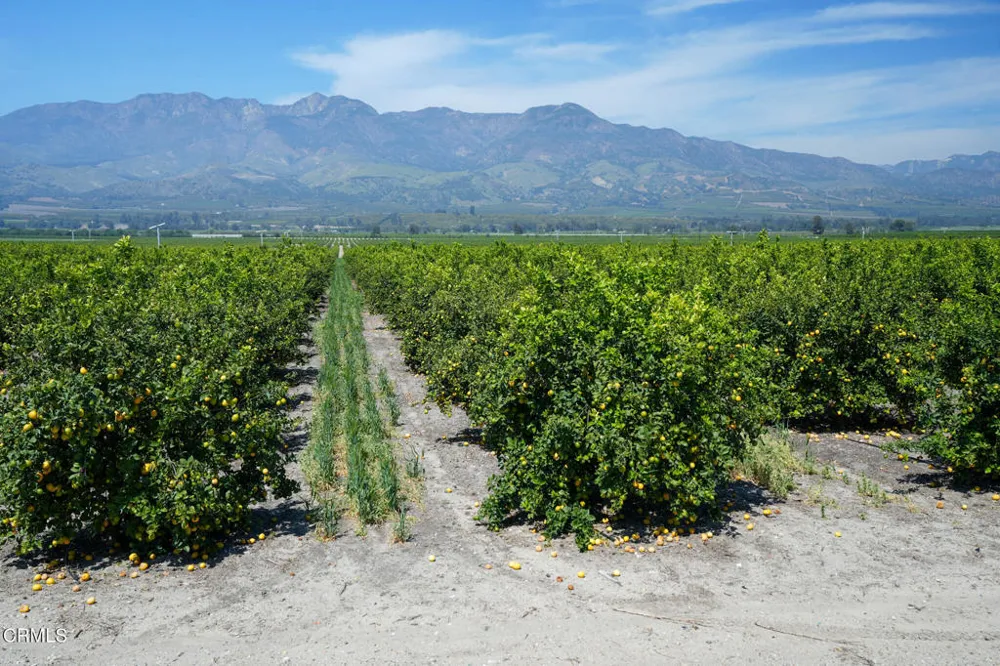 2417 South Mountain Road Fillmore, CA 93015