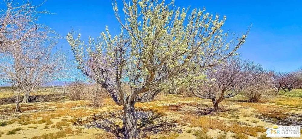 11446 Midway Avenue Lucerne Valley, CA 92356
