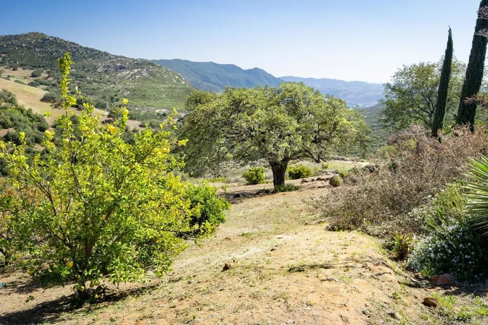 31924 Calle El Potrero Pauma Valley, CA 92061