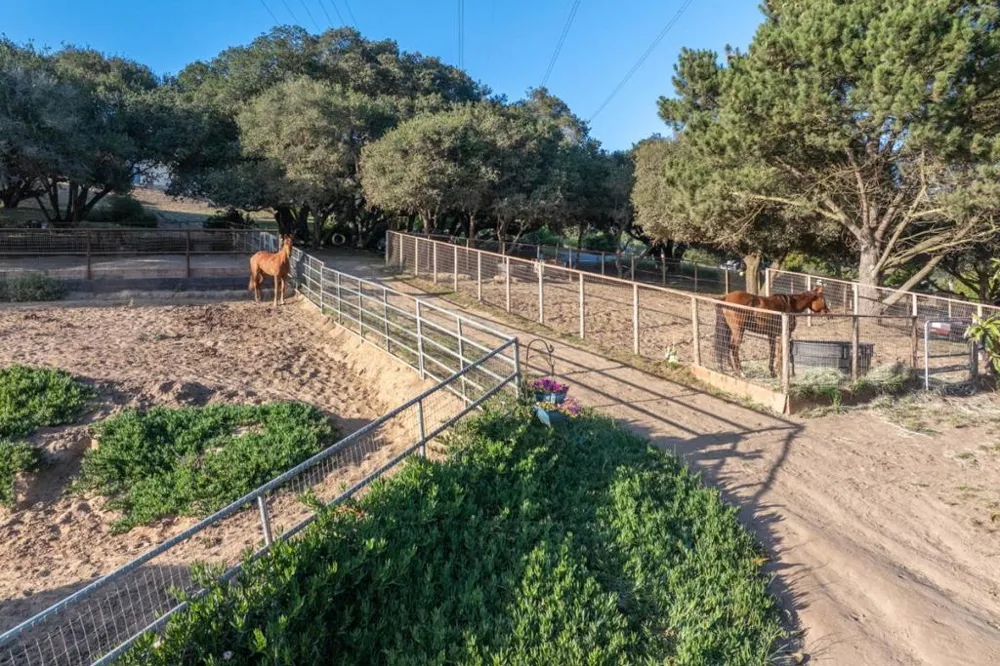 67 Tucker Road Royal Oaks, CA 95076