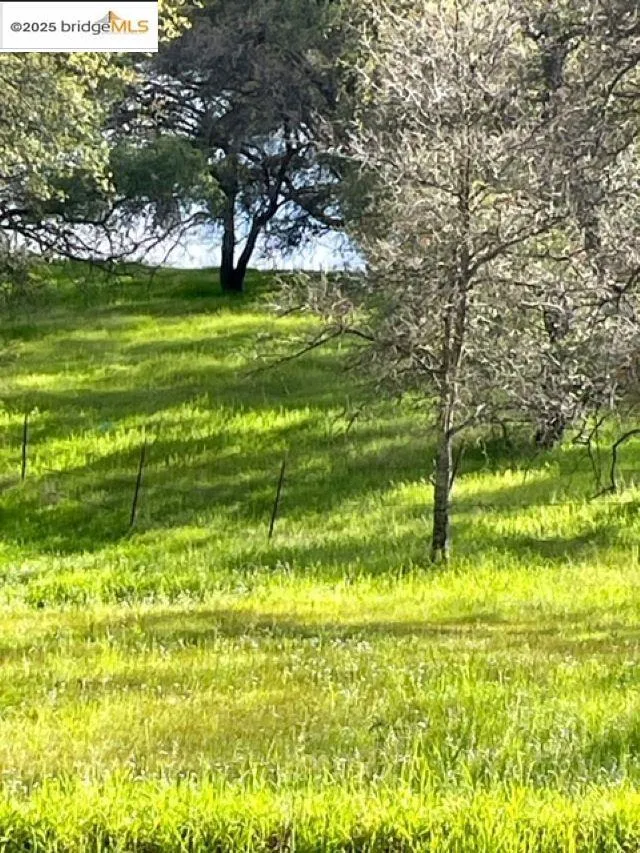 10404 State Highway 49 Coulterville, CA 95311