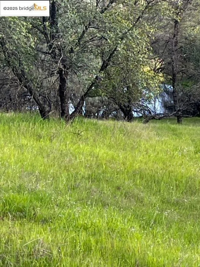 10404 State Highway 49 Coulterville, CA 95311