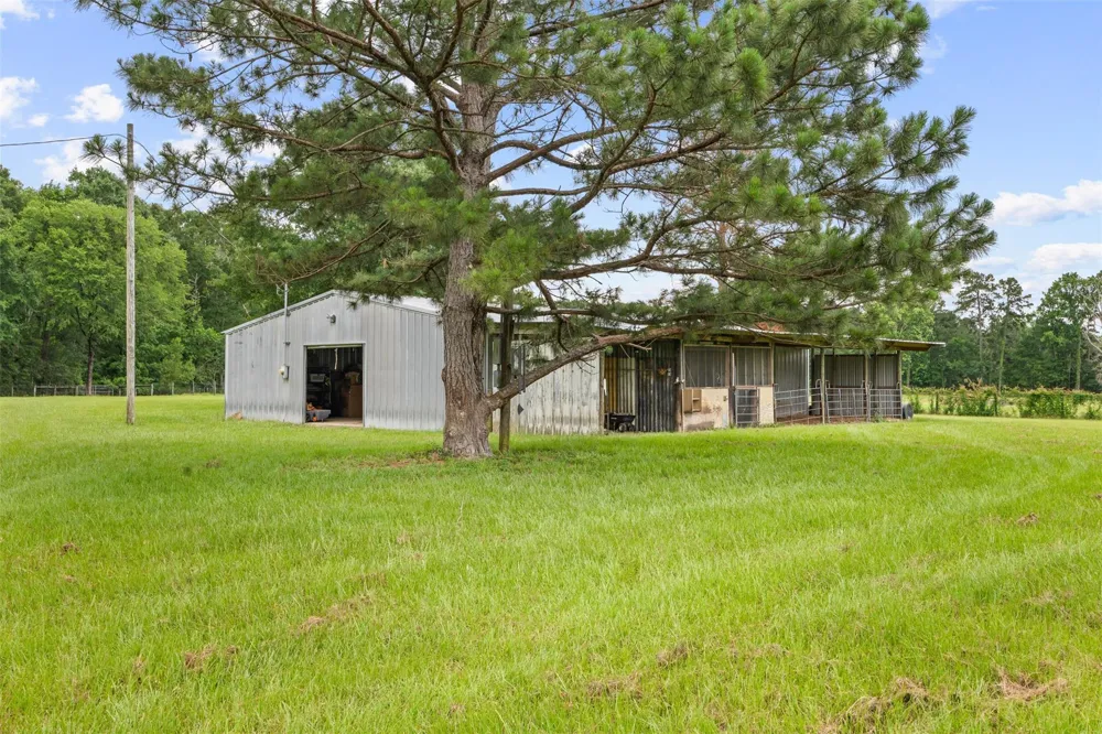 60 Pumpkin Church Road New Waverly, TX 77358