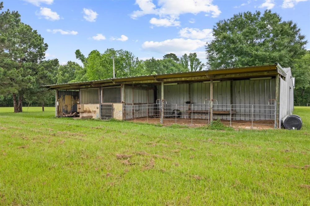 60 Pumpkin Church Road New Waverly, TX 77358