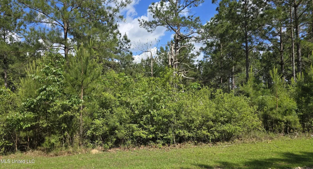 Mellie Lane Leakesville, MS 39451