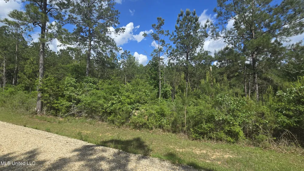 Mellie Lane Leakesville, MS 39451