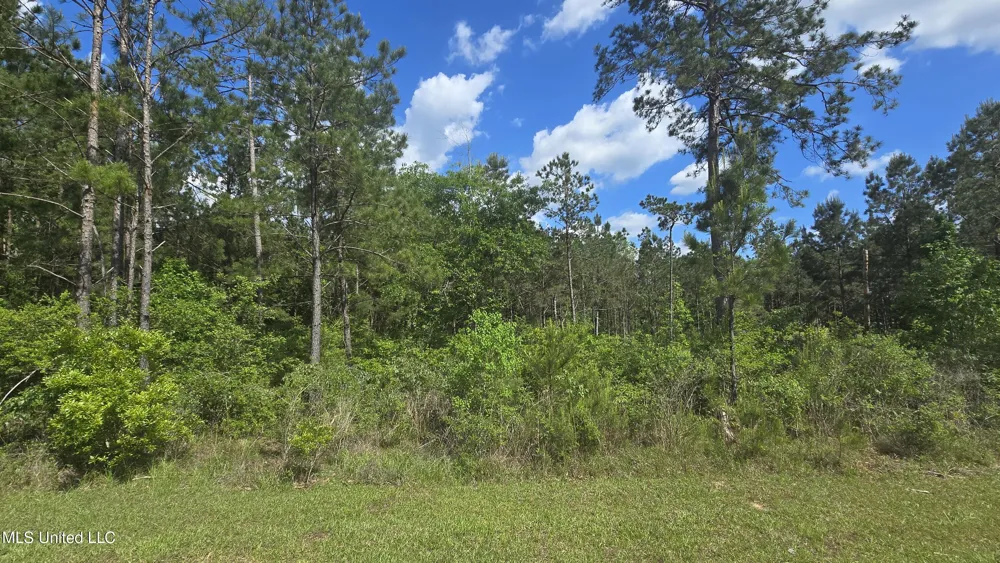 Mellie Lane Leakesville, MS 39451
