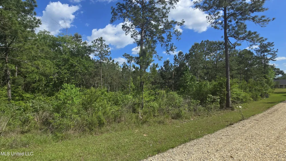 Mellie Lane Leakesville, MS 39451