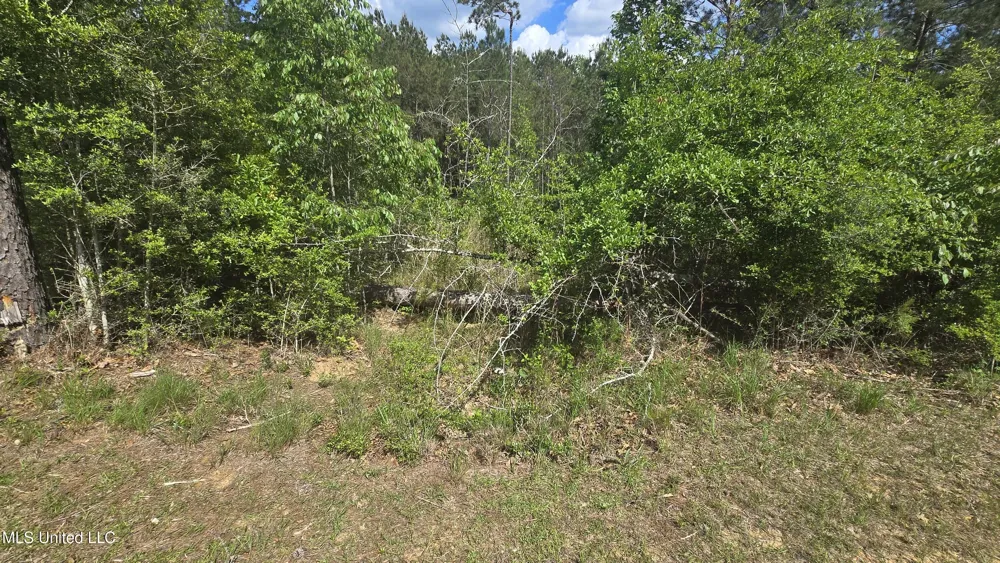 Mellie Lane Leakesville, MS 39451