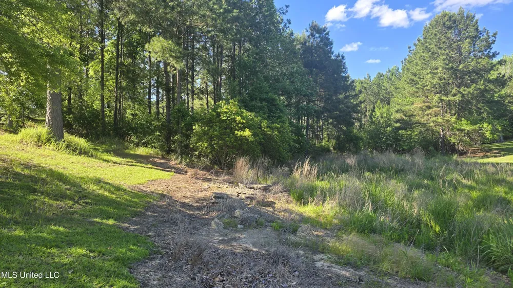 Mellie Lane Leakesville, MS 39451