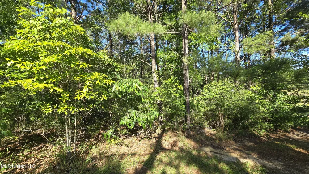 Mellie Lane Leakesville, MS 39451