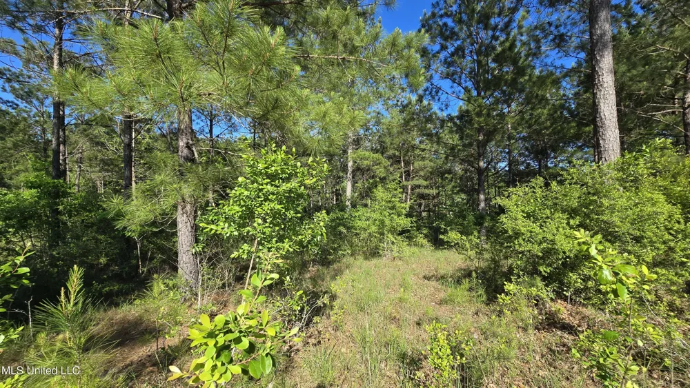 Mellie Lane Leakesville, MS 39451