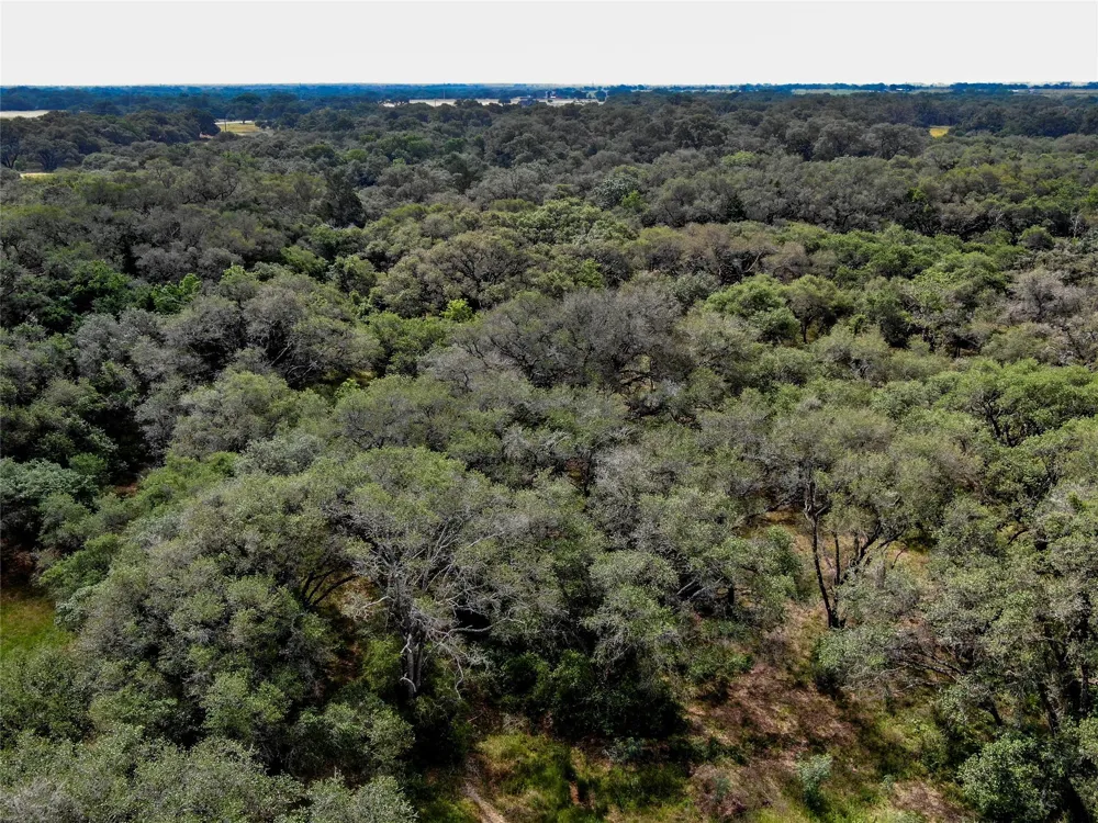 Shorebird Lane Columbus, TX 78934