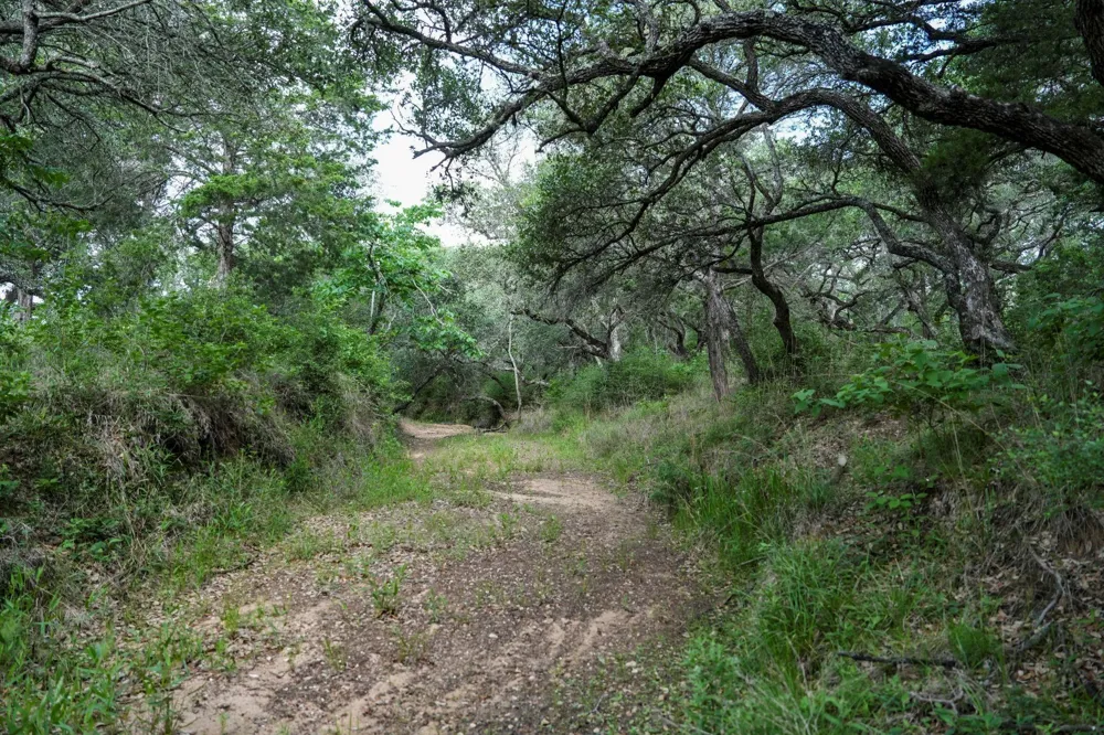 Shorebird Lane Columbus, TX 78934