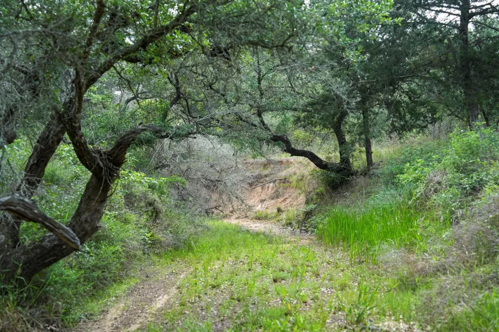 Shorebird Lane Columbus, TX 78934