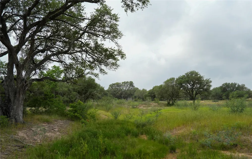 Shorebird Lane Columbus, TX 78934