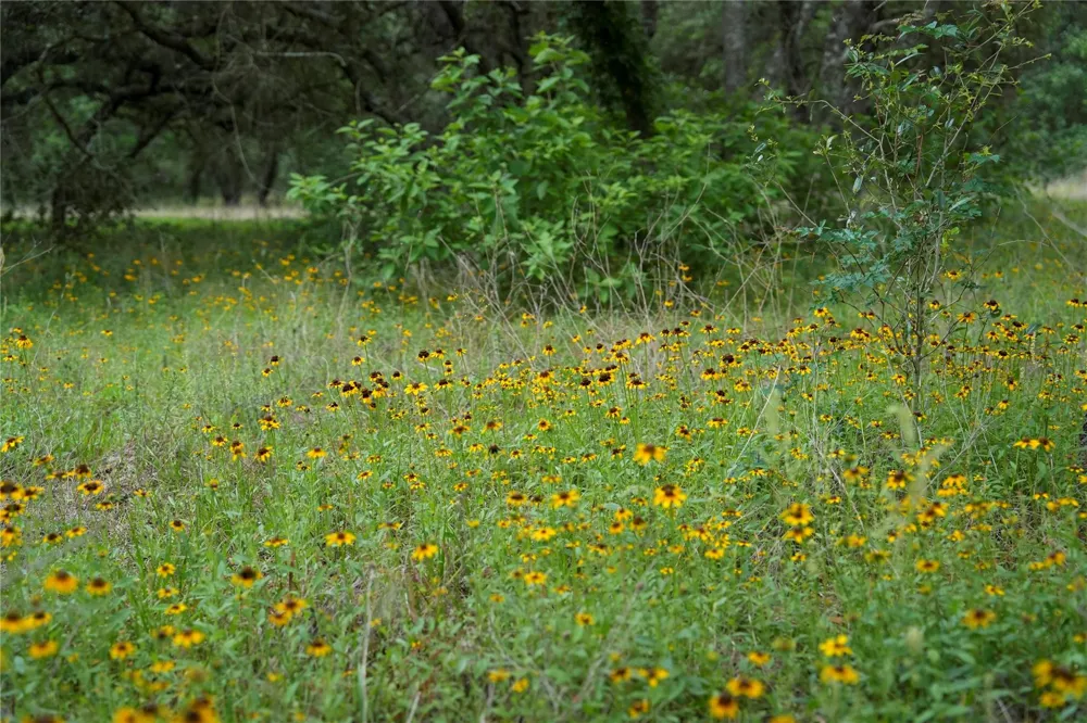 Shorebird Lane Columbus, TX 78934