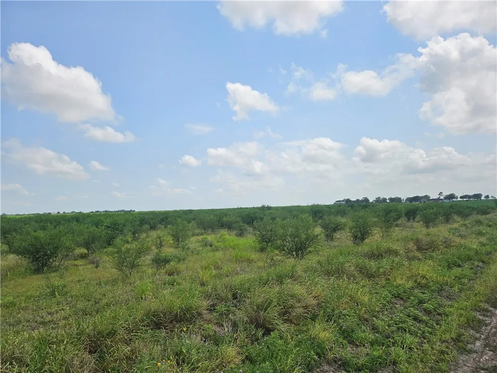 CR 364 Sandia, TX 78383