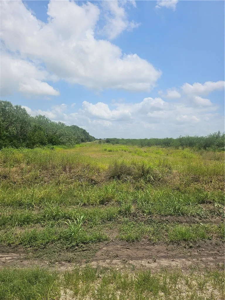 CR 364 Sandia, TX 78383