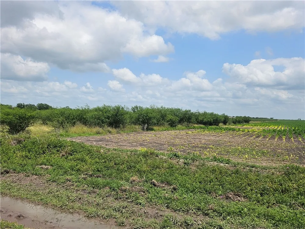 CR 364 Sandia, TX 78383