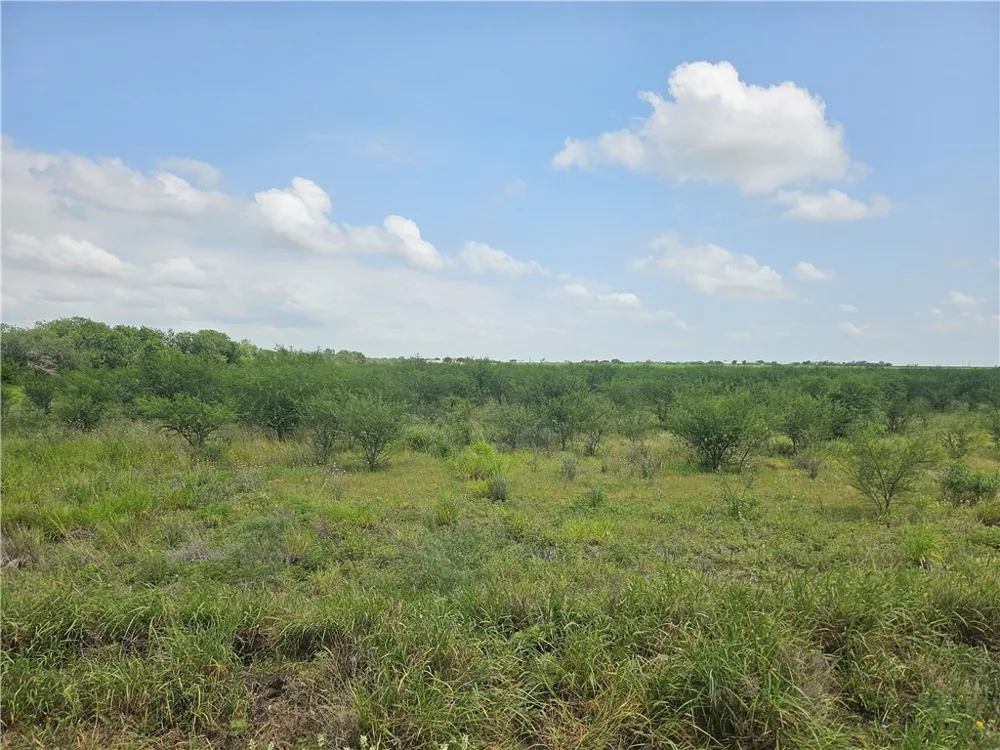 CR 364 Sandia, TX 78383