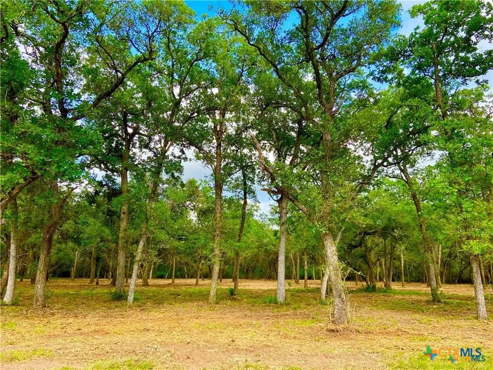 208 Post Oak Road Inez, TX 77968