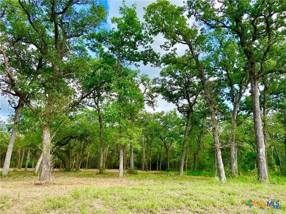 208 Post Oak Road Inez, TX 77968