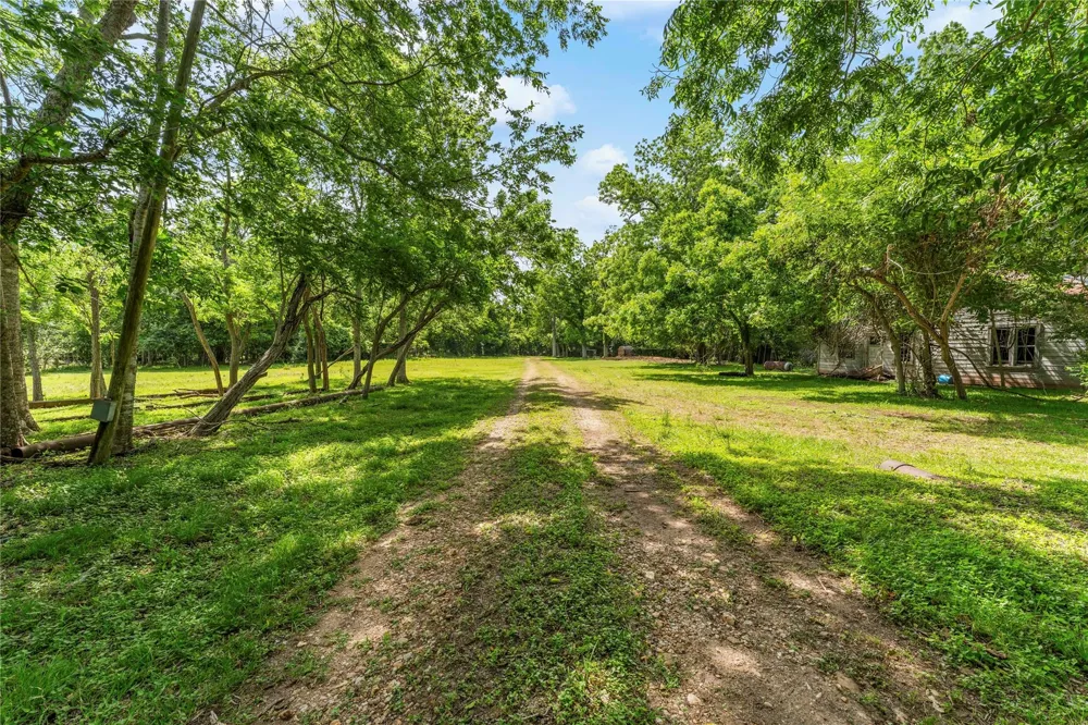 10840 Fm 442 Boling, TX 77420