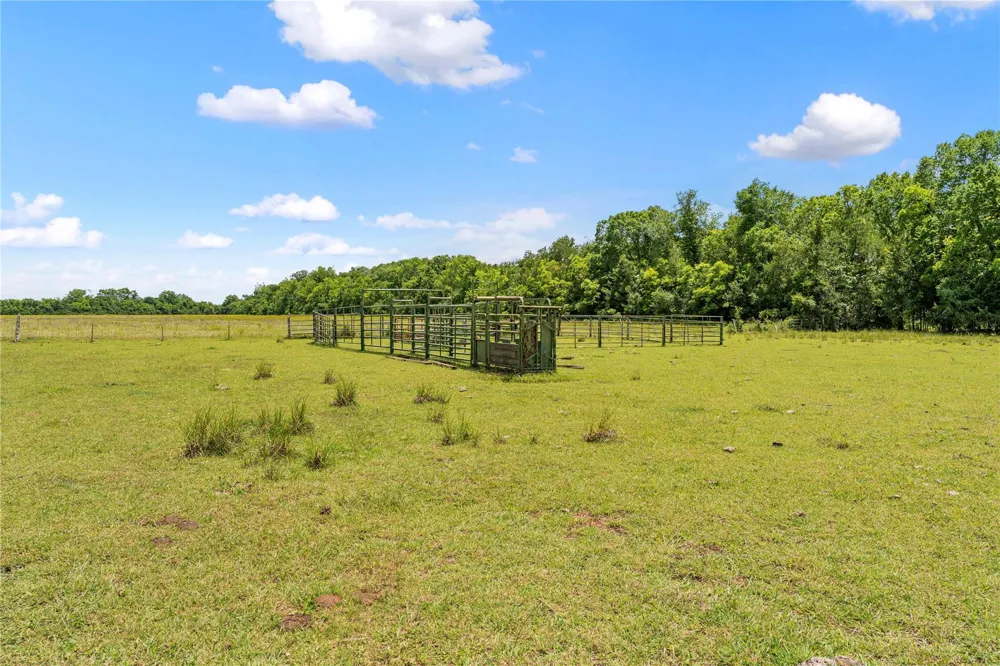 10840 Fm 442 Boling, TX 77420
