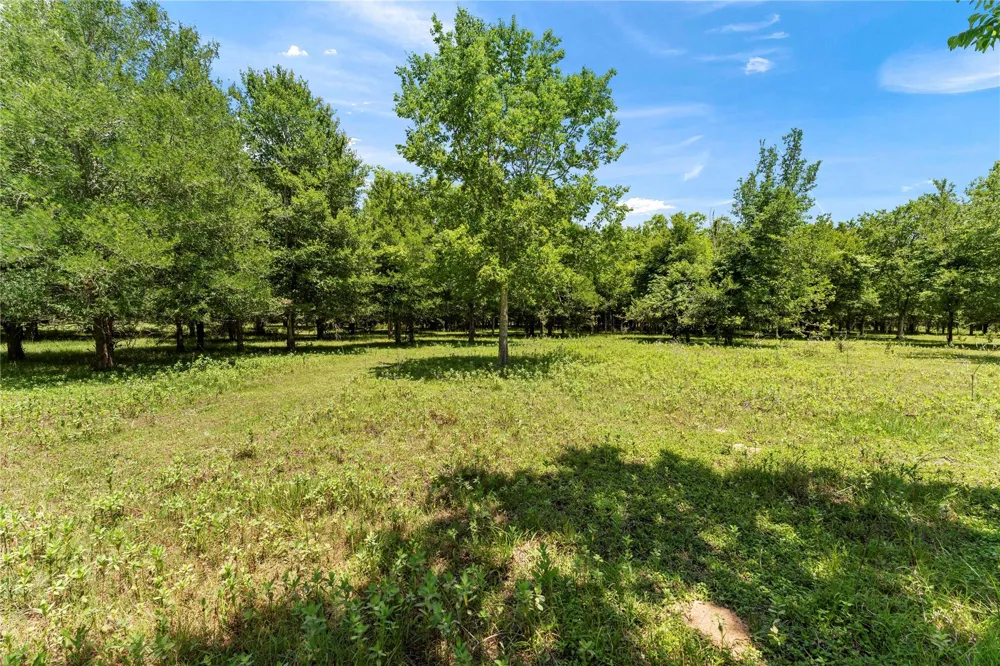 10840 Fm 442 Boling, TX 77420
