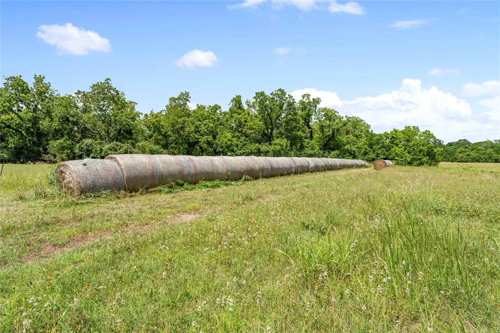 10840 Fm 442 Boling, TX 77420