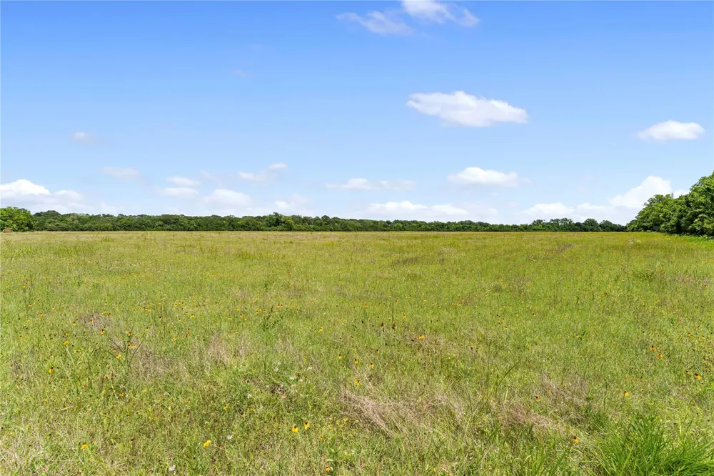10840 Fm 442 Boling, TX 77420