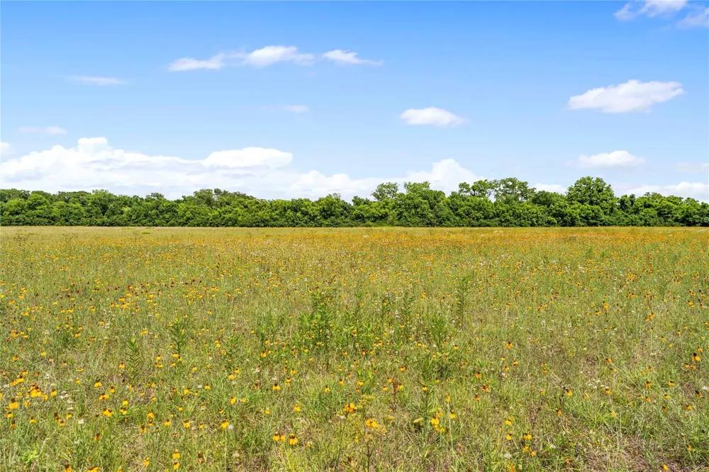 10840 Fm 442 Boling, TX 77420