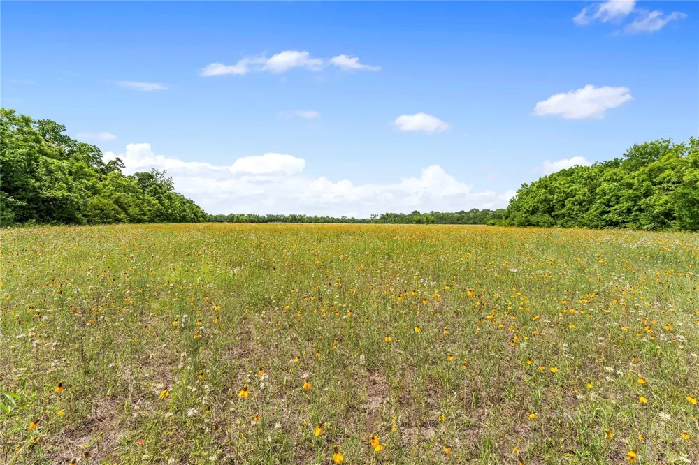 10840 Fm 442 Boling, TX 77420