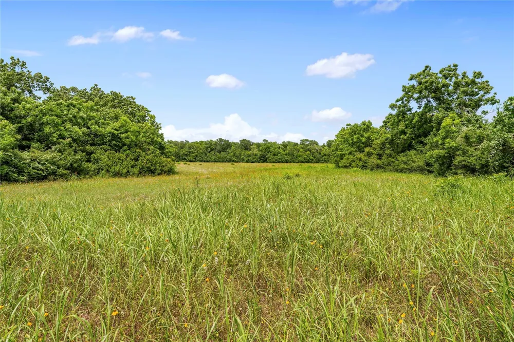 10840 Fm 442 Boling, TX 77420