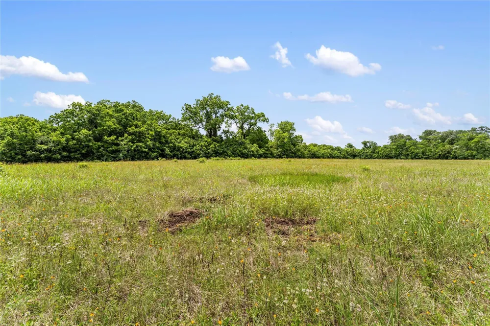 10840 Fm 442 Boling, TX 77420