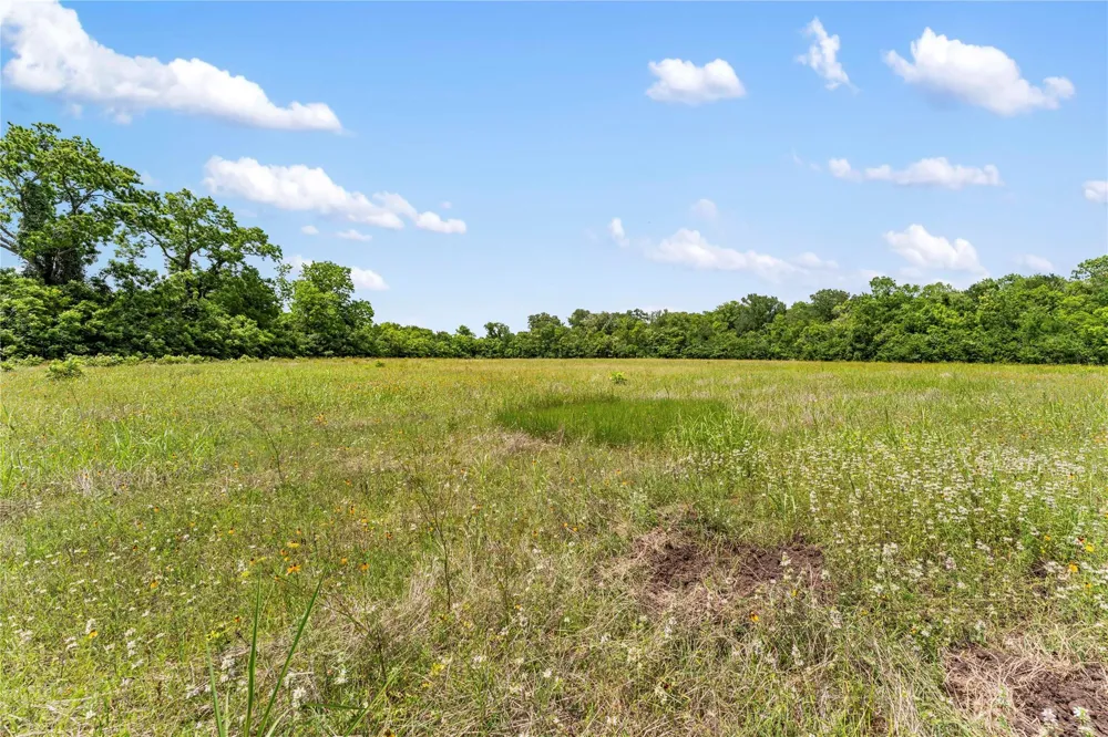 10840 Fm 442 Boling, TX 77420