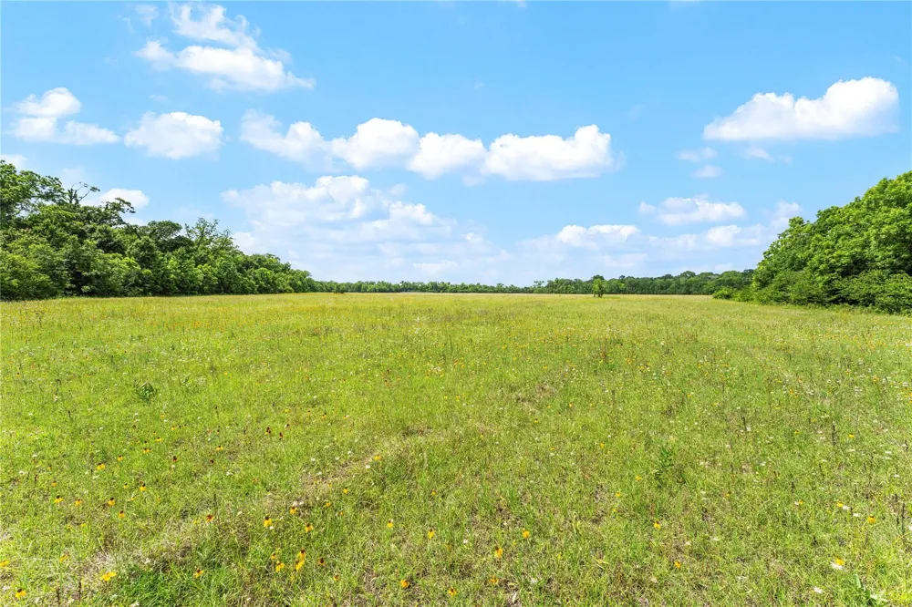 10840 Fm 442 Boling, TX 77420
