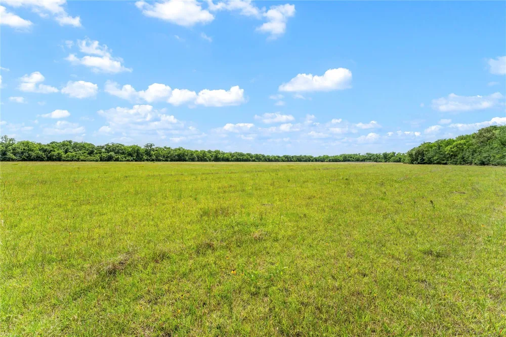 10840 Fm 442 Boling, TX 77420