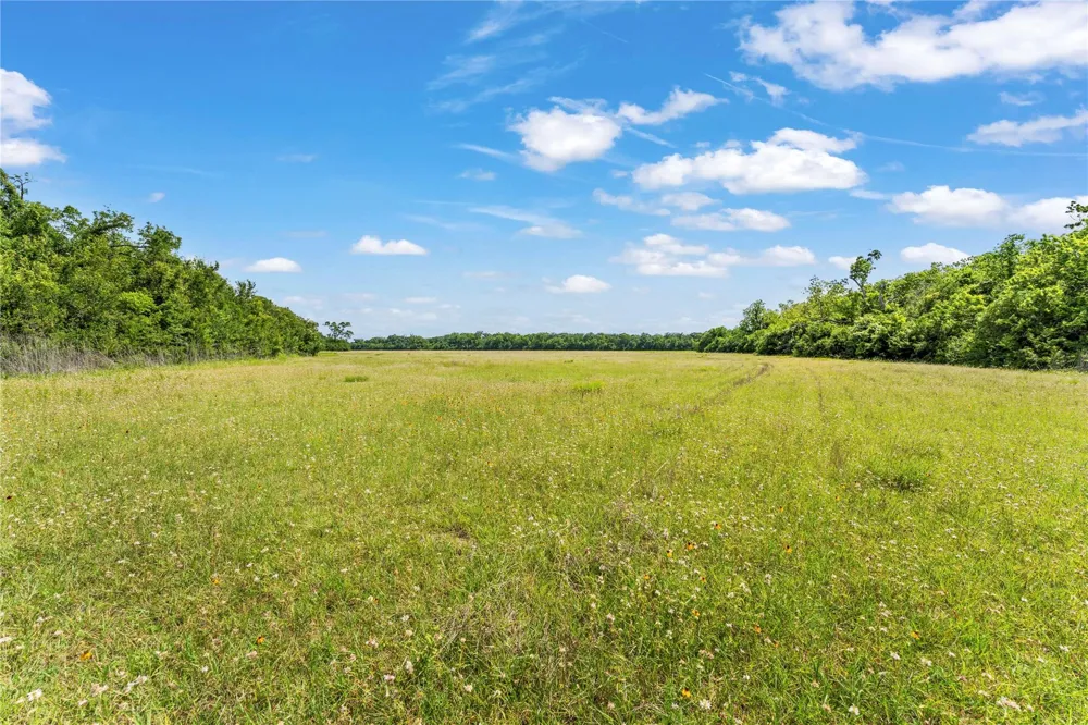 10840 Fm 442 Boling, TX 77420