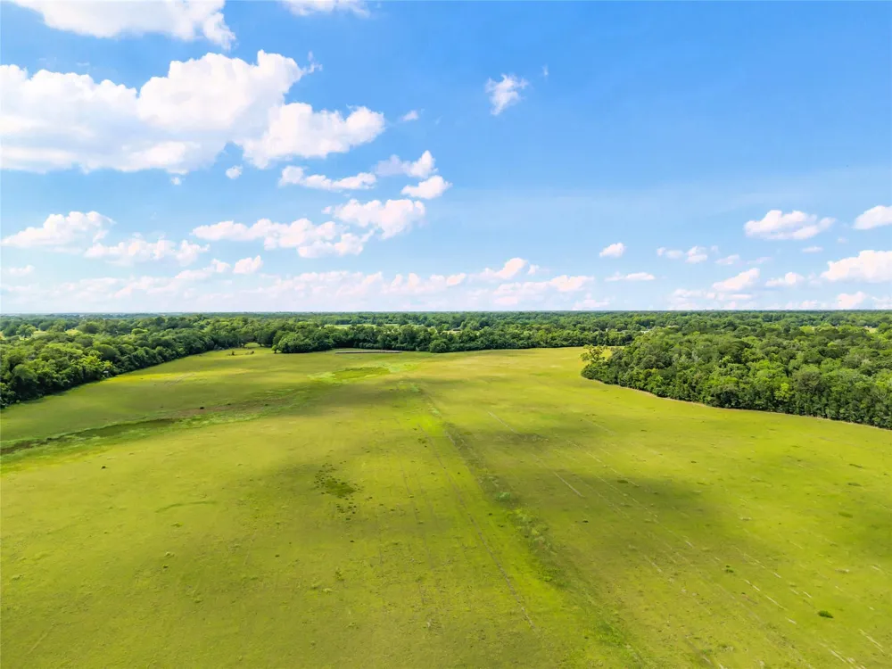 10840 Fm 442 Boling, TX 77420