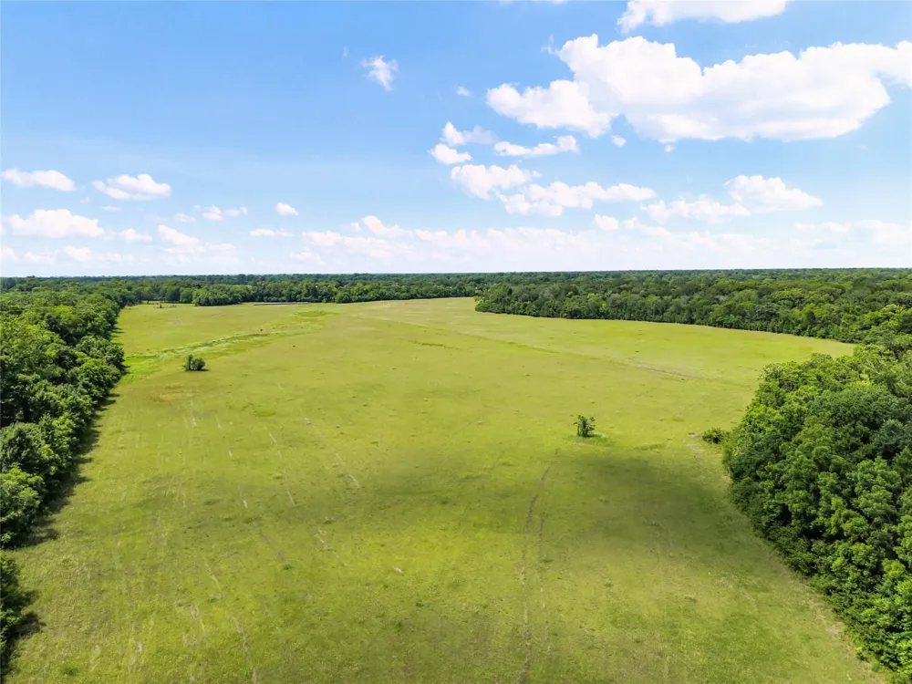 10840 Fm 442 Boling, TX 77420