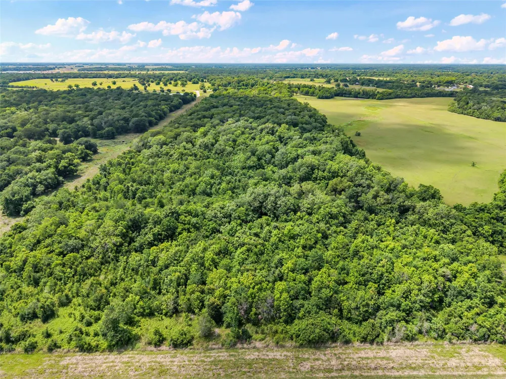 10840 Fm 442 Boling, TX 77420