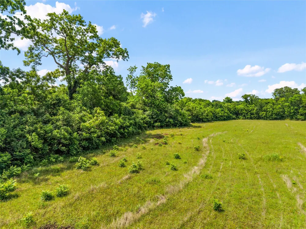 10840 Fm 442 Boling, TX 77420