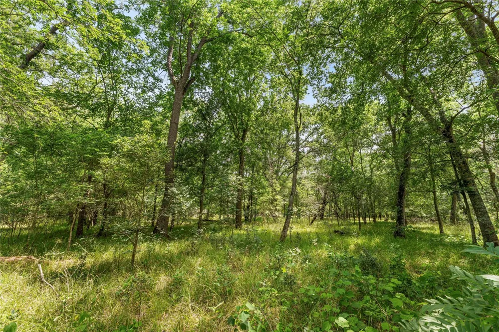 10840 Fm 442 Boling, TX 77420