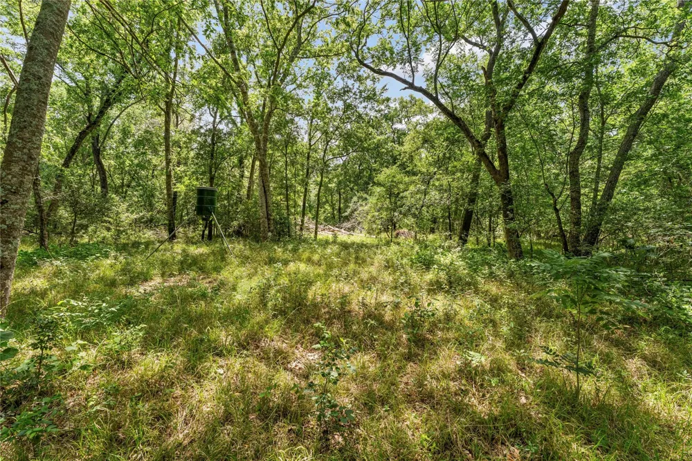 10840 Fm 442 Boling, TX 77420