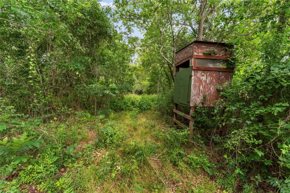 10840 Fm 442 Boling, TX 77420
