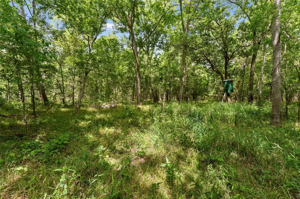 10840 Fm 442 Boling, TX 77420
