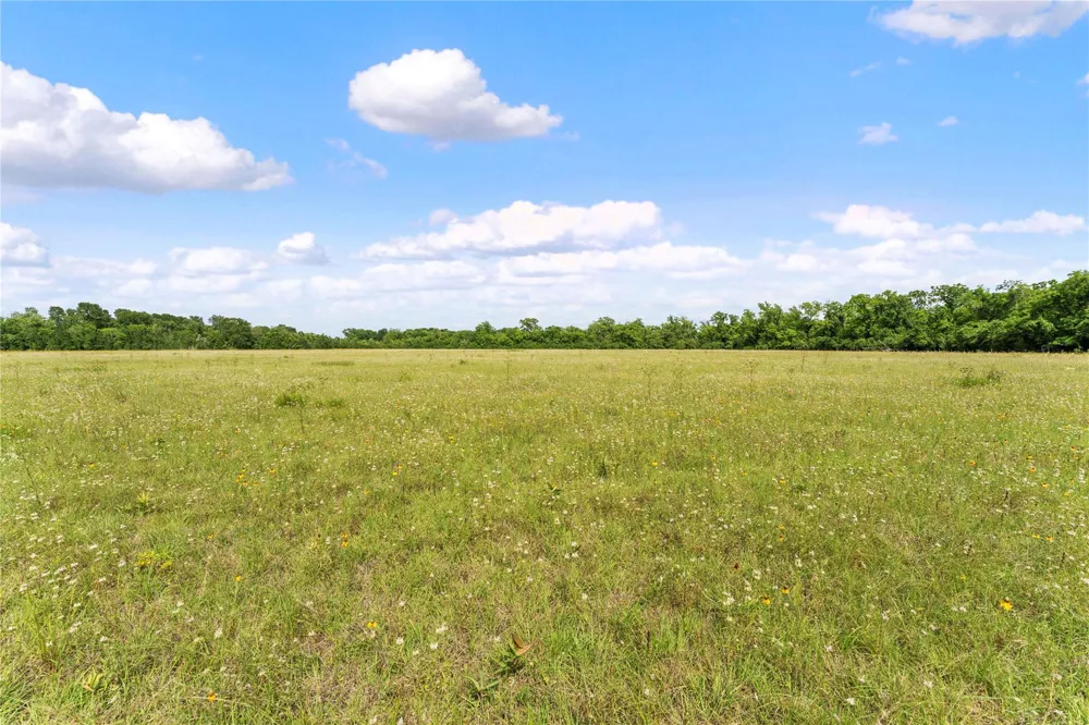 10840 Fm 442 Boling, TX 77420
