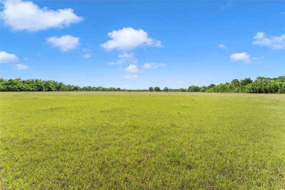 10840 Fm 442 Boling, TX 77420